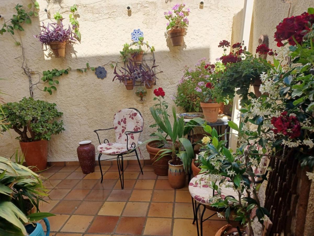 Apartamento Rural Casa Medico 图雷 外观 照片